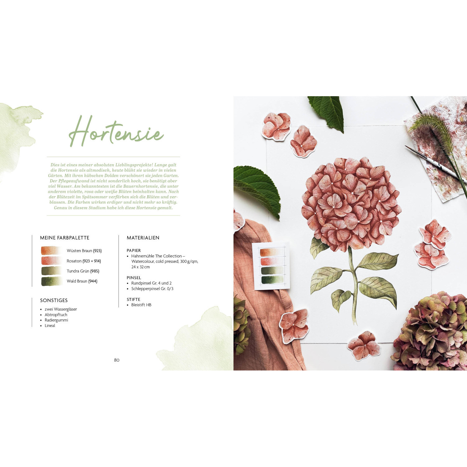 Boho Watercolor Flowers & Garden: Aquarellierte Hortensie mit Farbpalette und Blättern auf weißem Hintergrund.