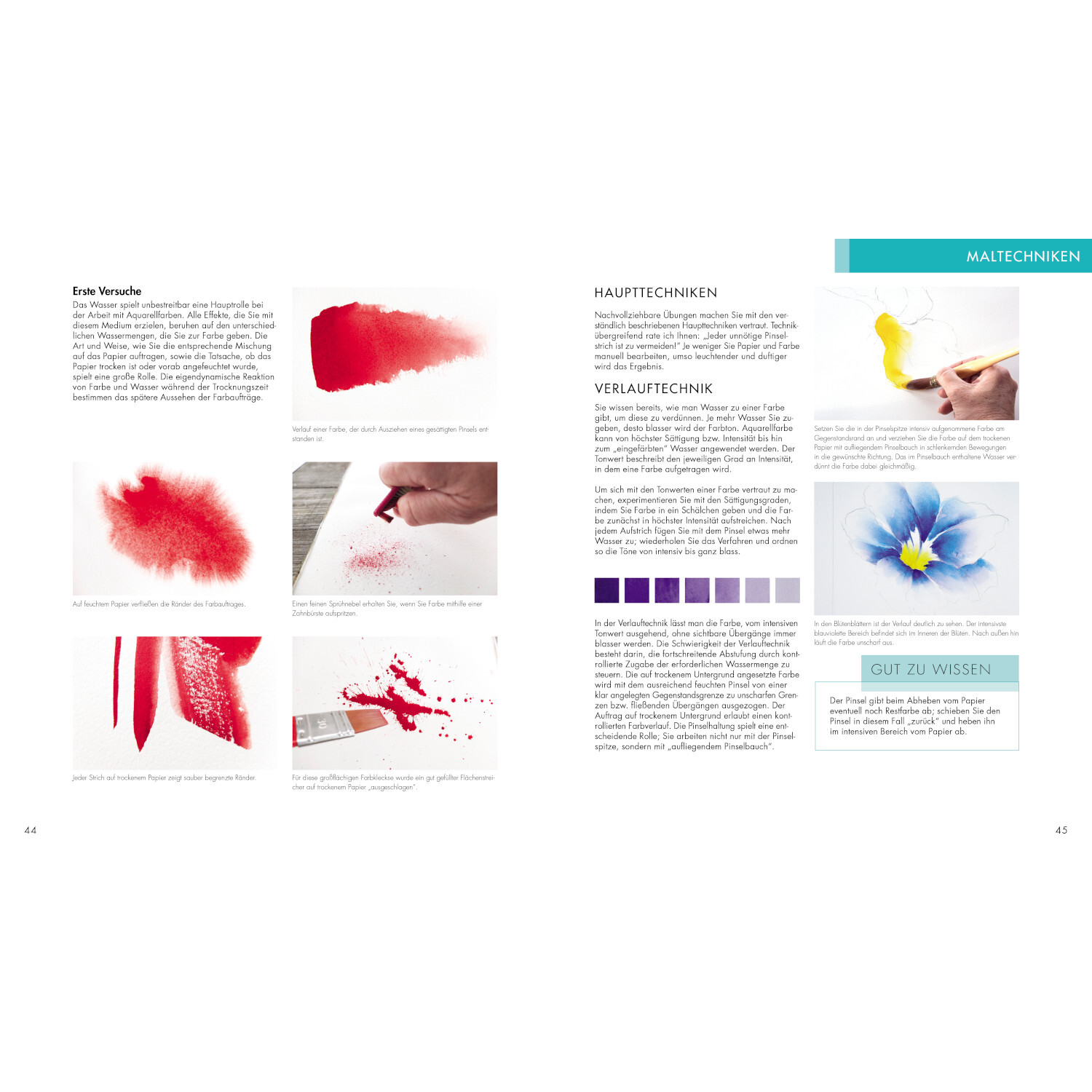 Das neue Aquarell Praxis Buch von Edition Michael Fischer 