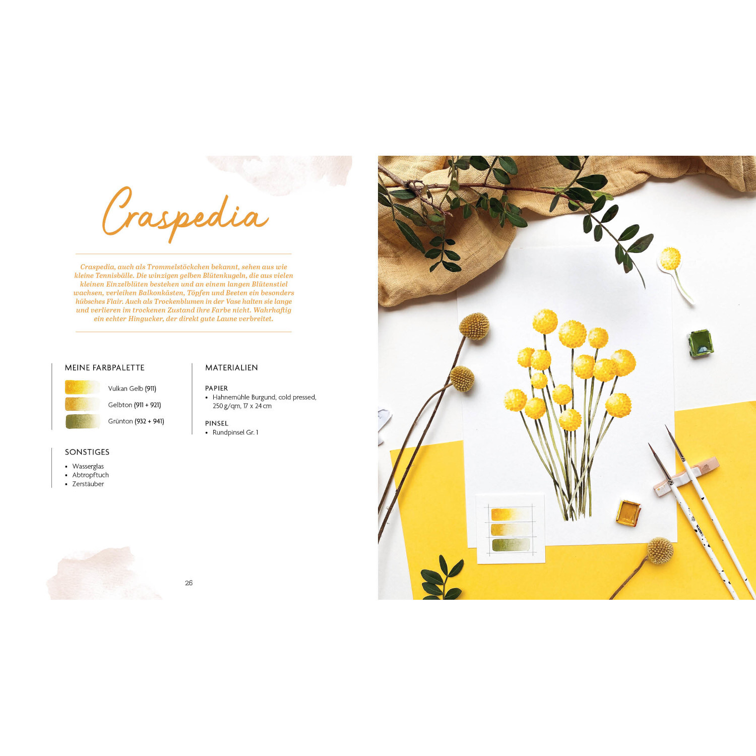 Boho Watercolor Flowers & Garden: Gelbe Craspedia-Blumen auf weißem Hintergrund mit grünen Blättern und Malutensilien.