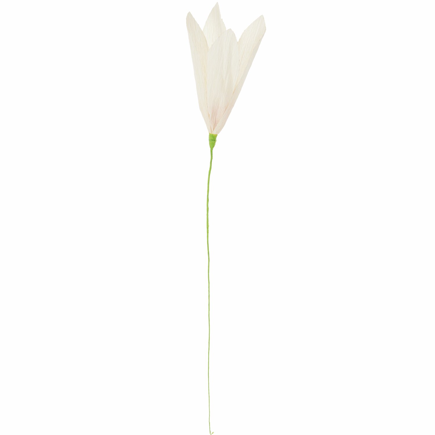 Papierblume Krokus Creme