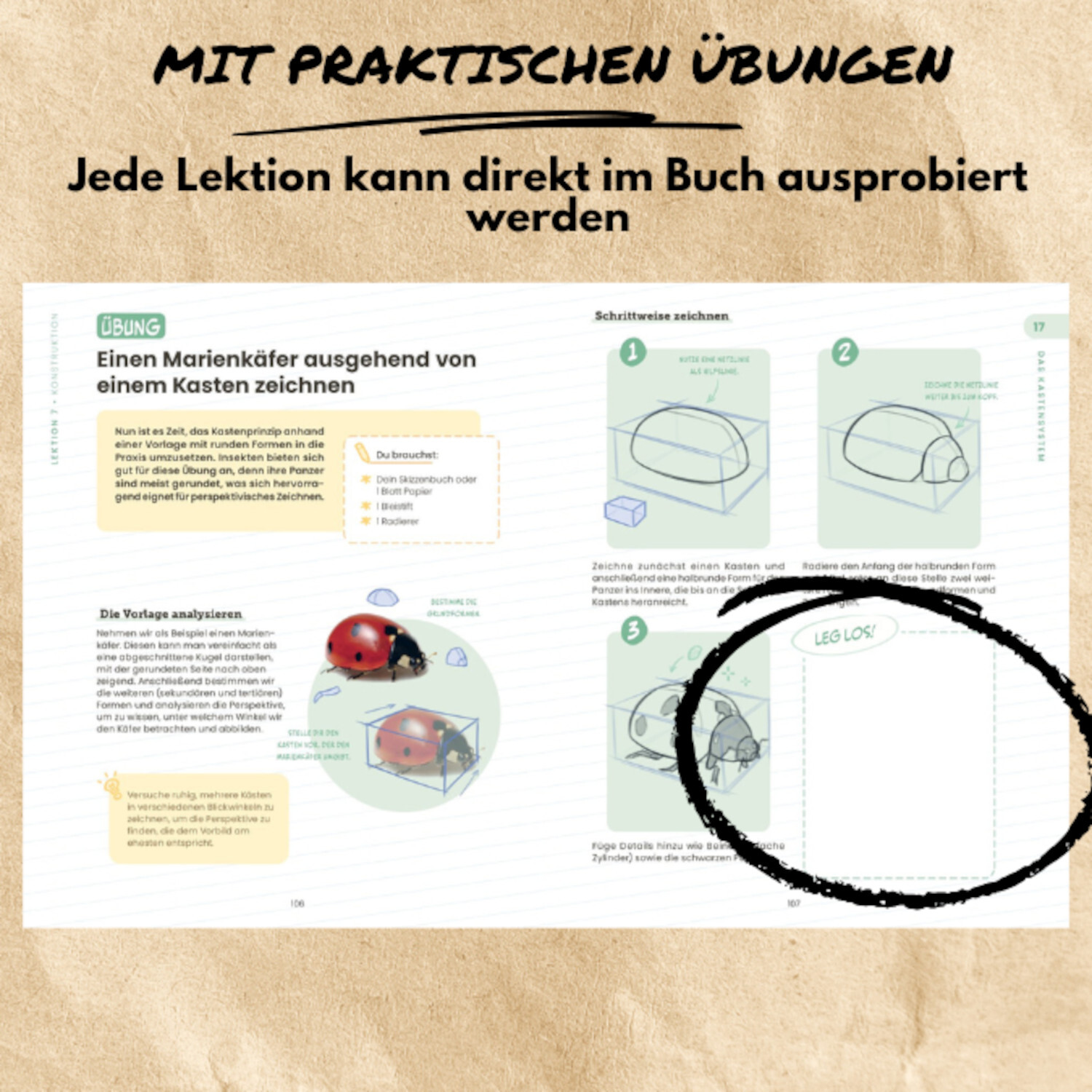 Ran an die Stifte! Buchseite mit Zeichenübungen für Marienkäfer. Praktische Anleitungen und Platz zum Ausprobieren.