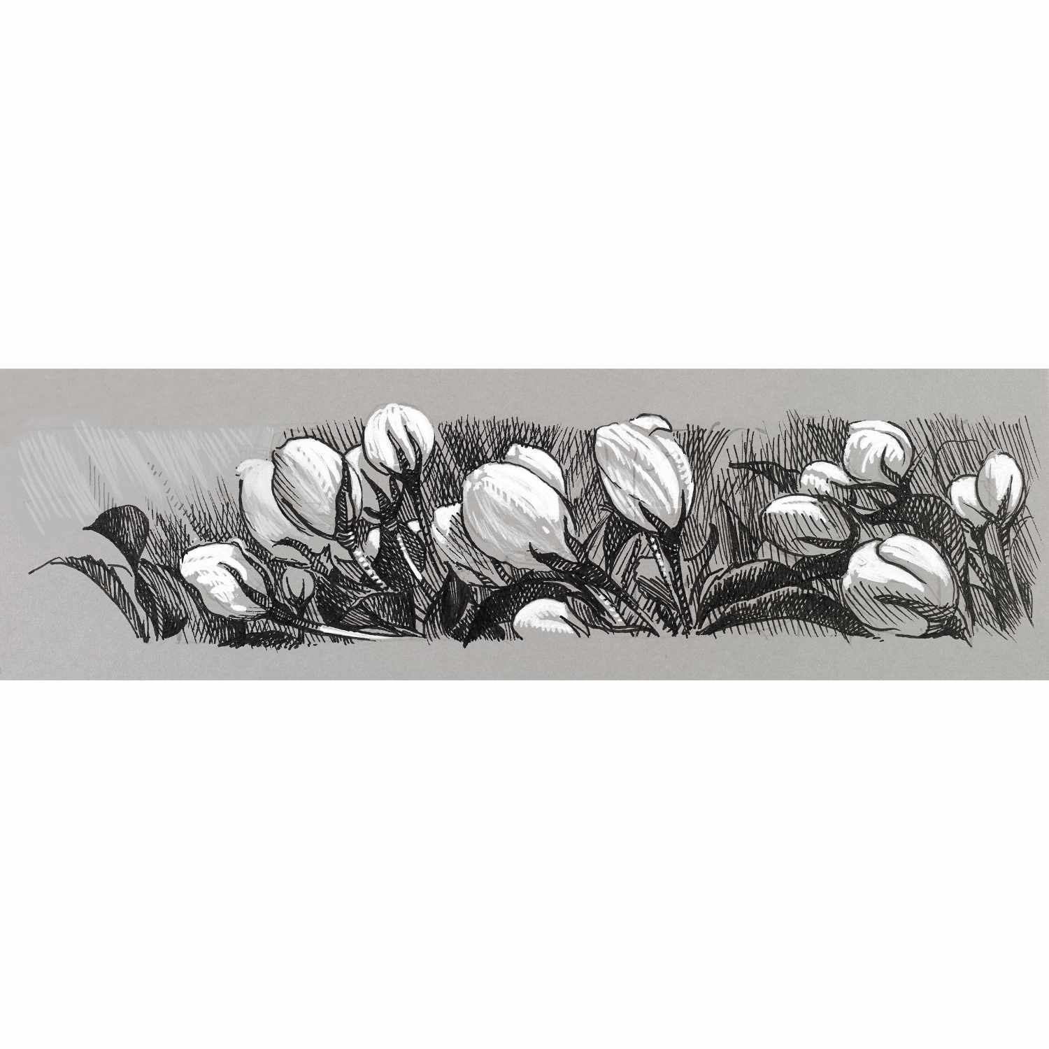 Tuschestift Pitt Artist Pen Black & White 4 Stück Tuschestift Pitt Artist Pen Black & White 4 Stück