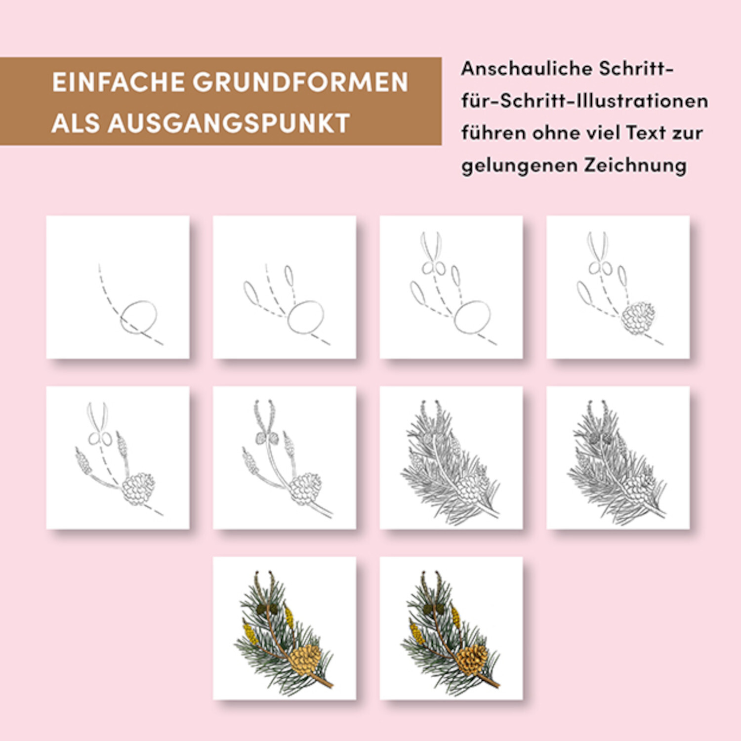 Kunst des Zeichnens 10 Steps Pflanzen: Neun Illustrationen zeigen Schritt-für-Schritt-Anleitungen zum Zeichnen von Pflanzen auf rosa Hintergrund.