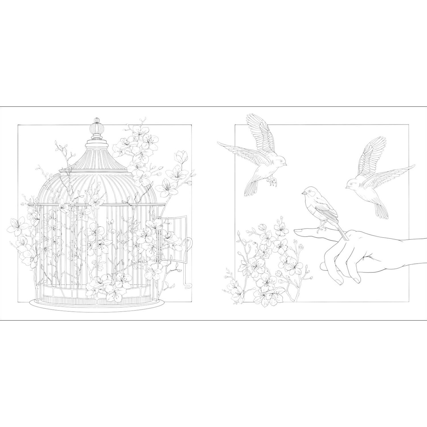 Mindful Moments - Ein atmosphärisches Ausmalbuch für Erwachsene zeigt Vögel und einen Käfig.