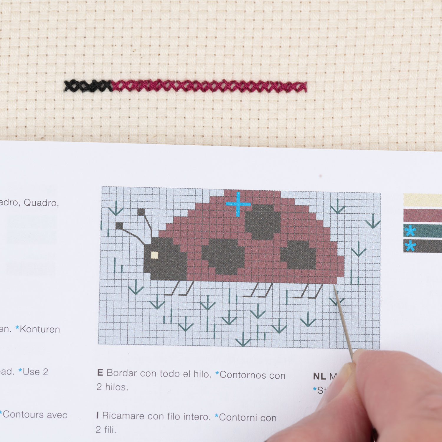 Schritt 9 in der Stickanleitung für einen gezählten Kreuzstich