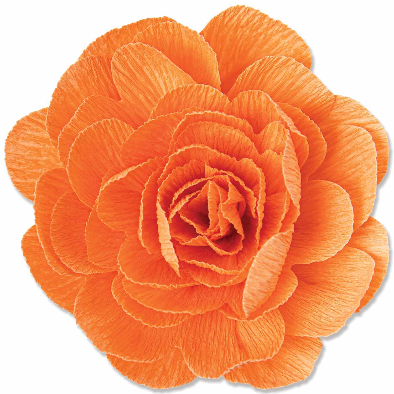 Thinlits Die Set Pom-Pom Flower by Olivia Rose Thinlits Die Set Pom-Pom Flower by Olivia Rose