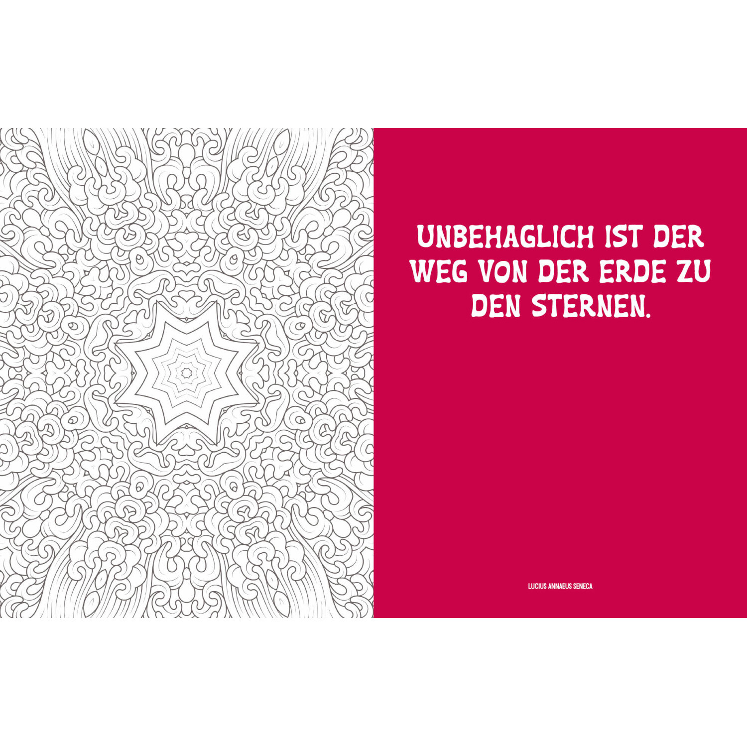 Colorful Mandala Leuchtendes Universum: Schwarz-weißes Mandala-Muster neben rotem Zitat über den Weg zu den Sternen.
