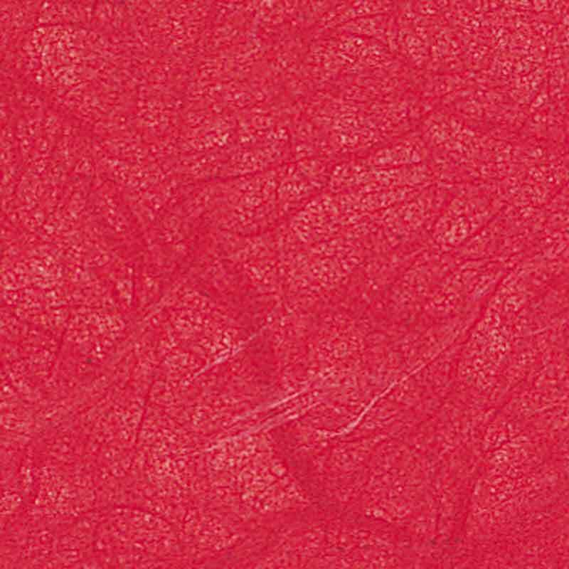 Rot