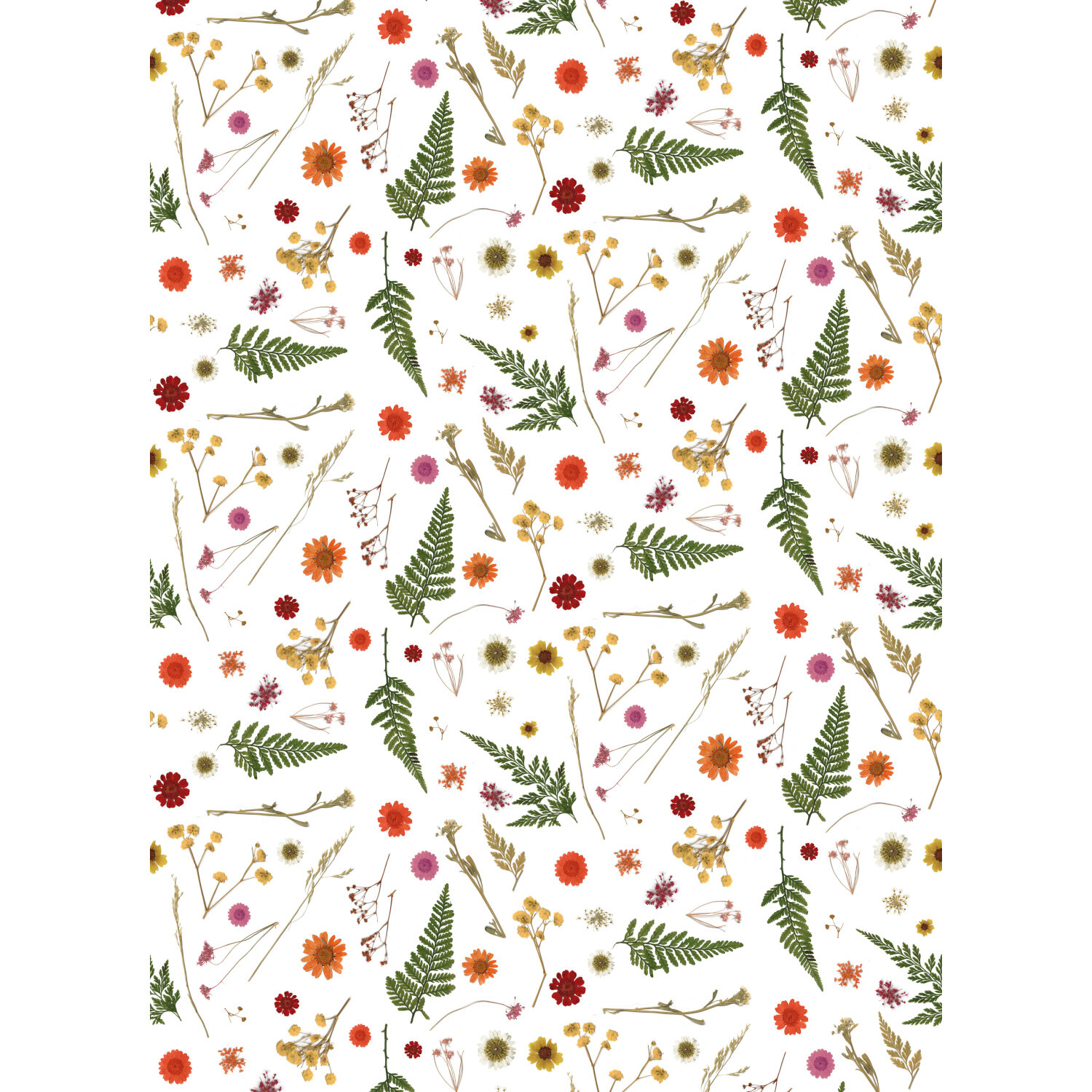 Papier Mix & Patch Die Liebe auf der Wiese 30x40cm 4 Bögen von Clairefontaine-Rhodia