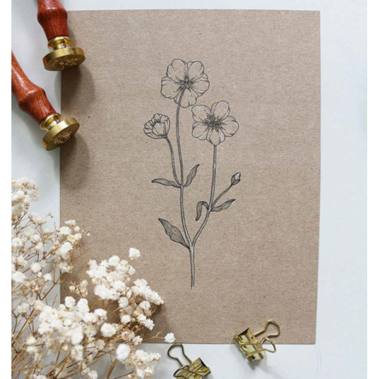 Floral & Fein - Illustrationen mit Fineliner von frechverlag Floral & Fein - Illustrationen mit Fineliner von frechverlag