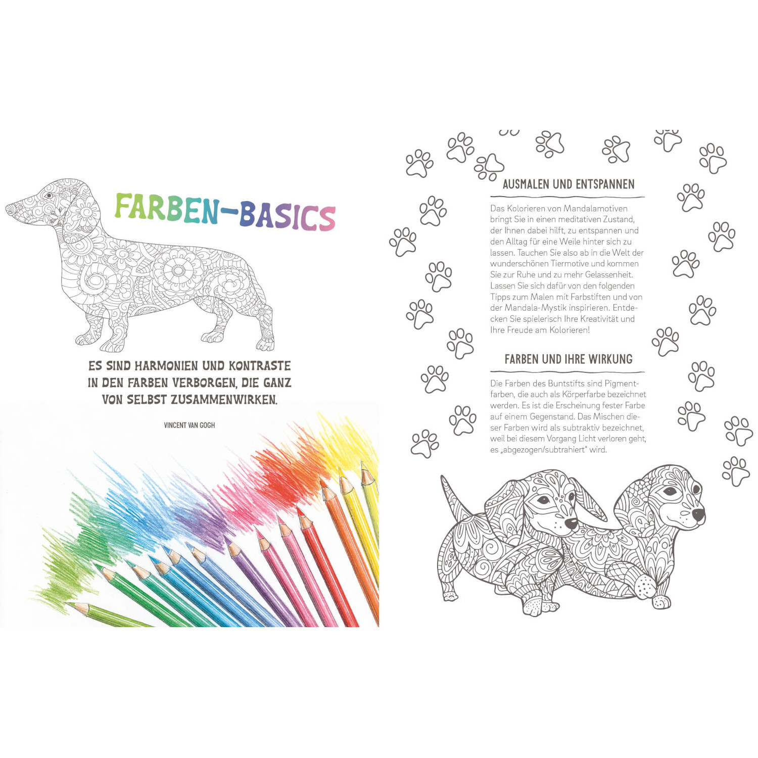 Colorful Mandala - Tierisch verliebt: Malbuchseite mit Dackel-Mandala und bunten Farbstiften.