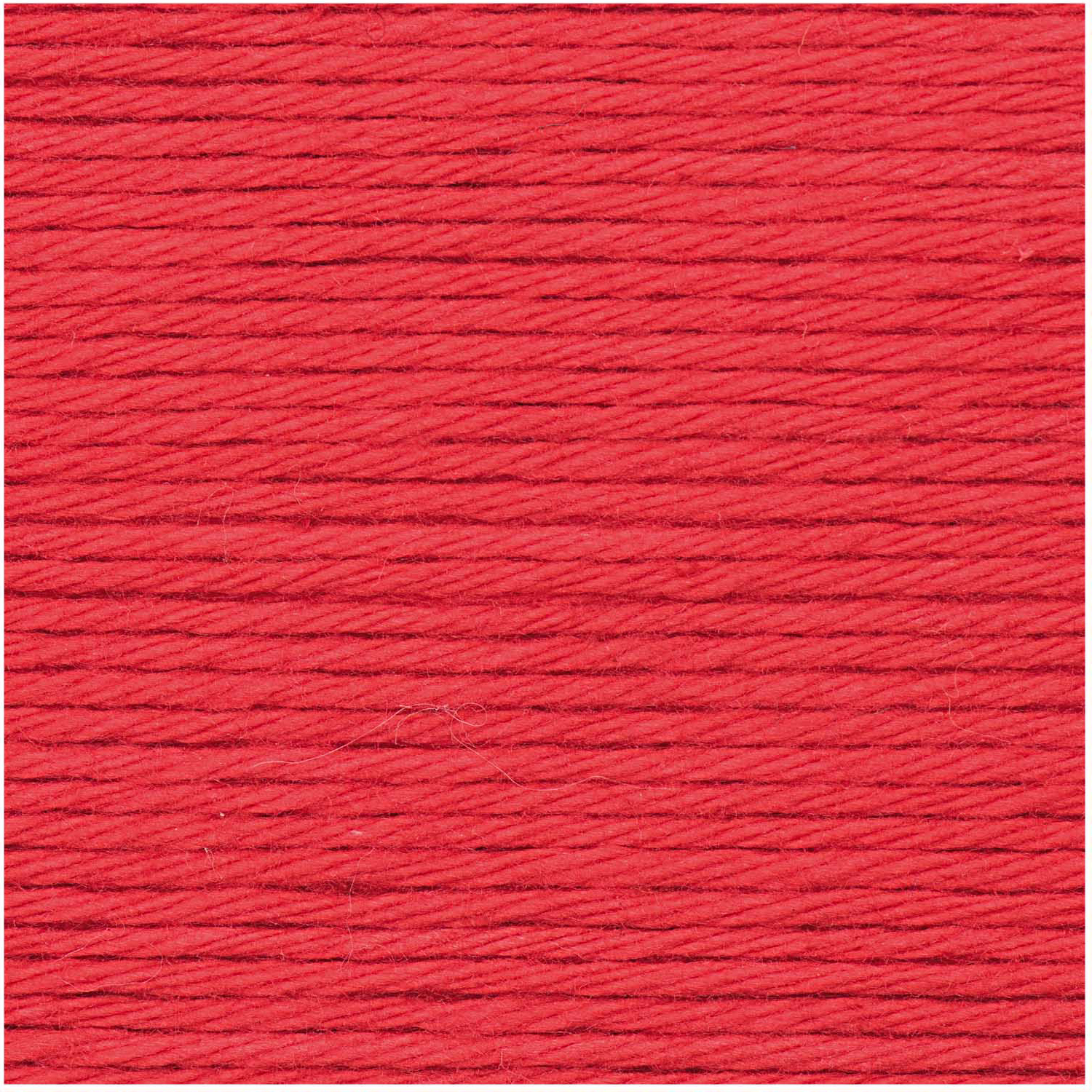Rot