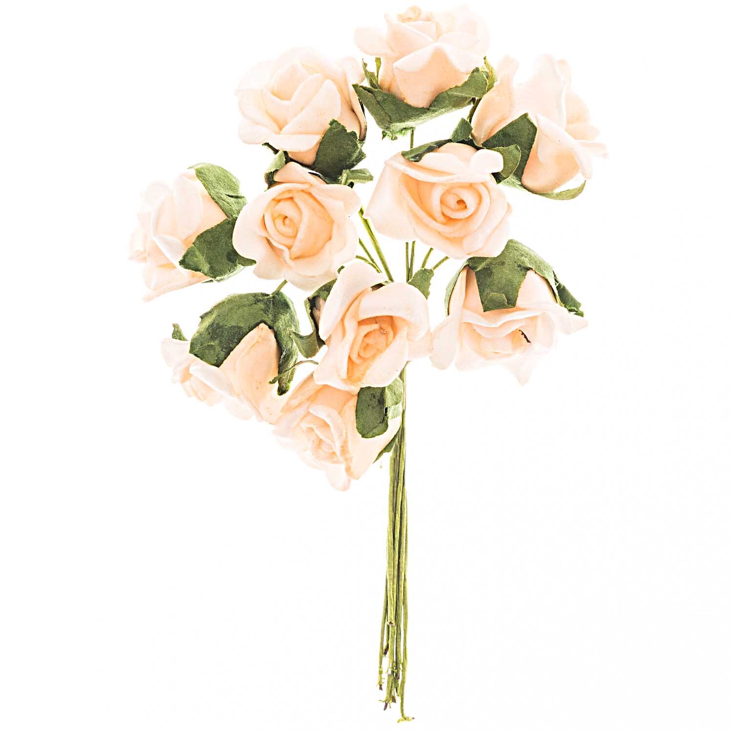 Apricot