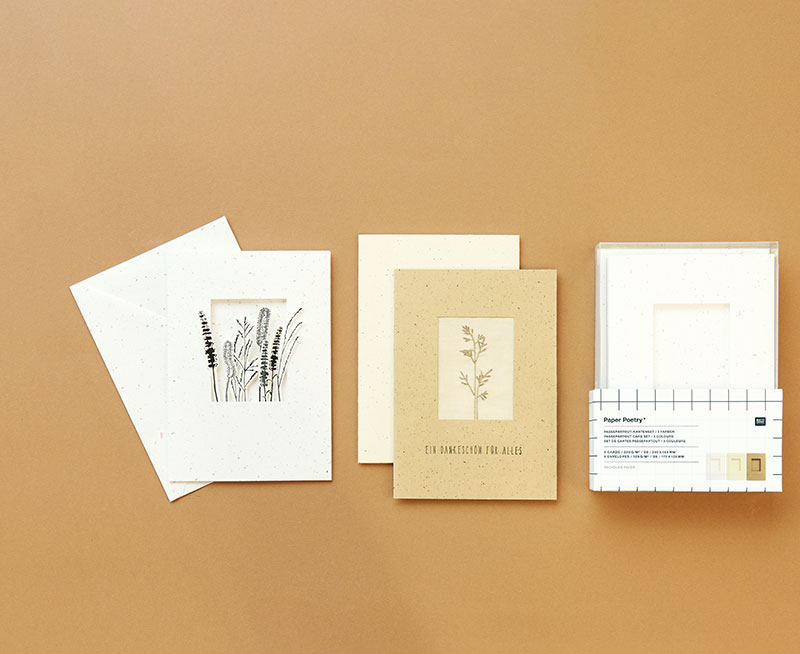 Zwei verzierte Passepartout-Karten mit Umschlag, daneben das Kartenset. Flatlay von Produkten aus der Kollektion In The Meadow.