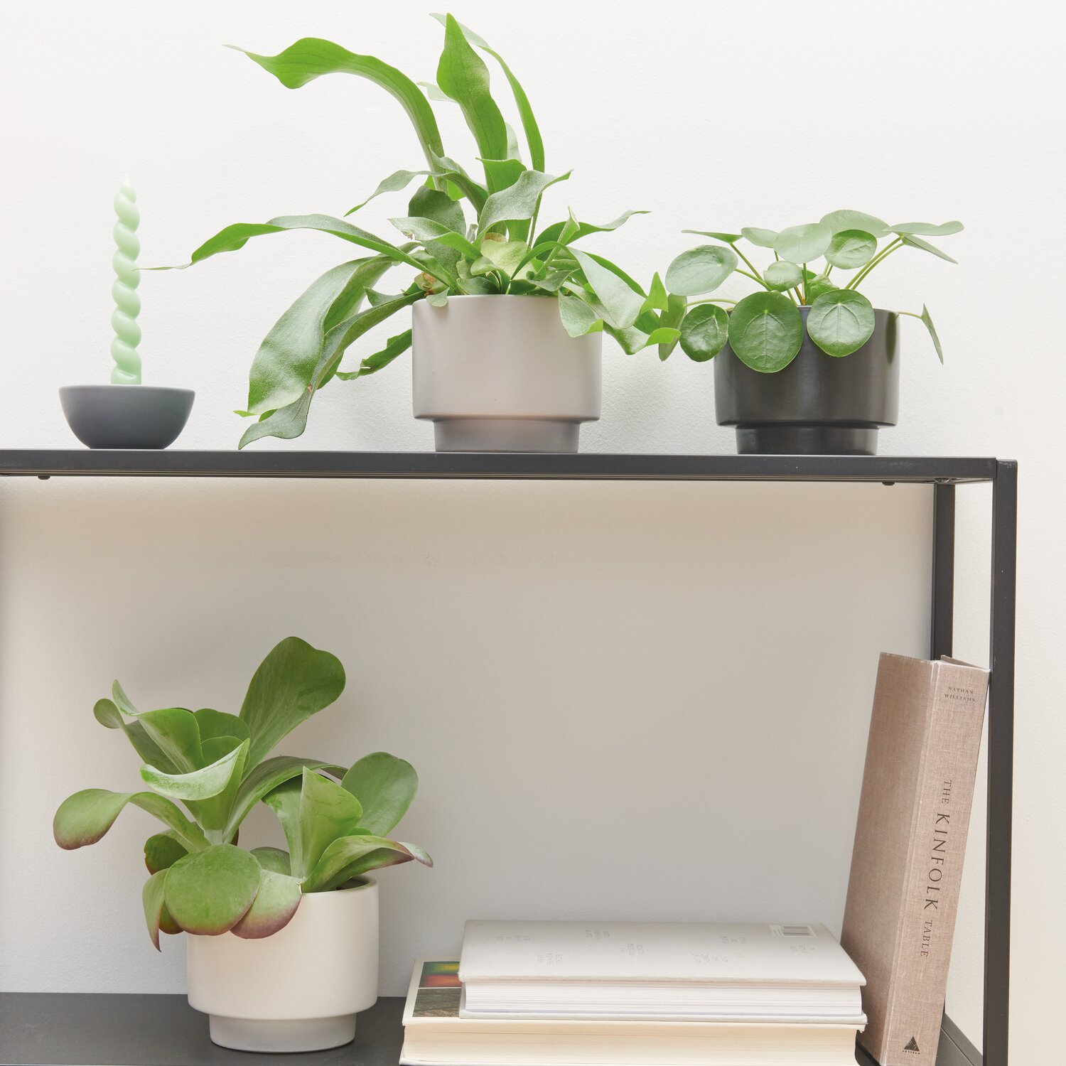 Keramik Topf 14x14x11cm mit Pflanzen auf Regal. Weißer Topf von Rico Design, dekorativ arrangiert.