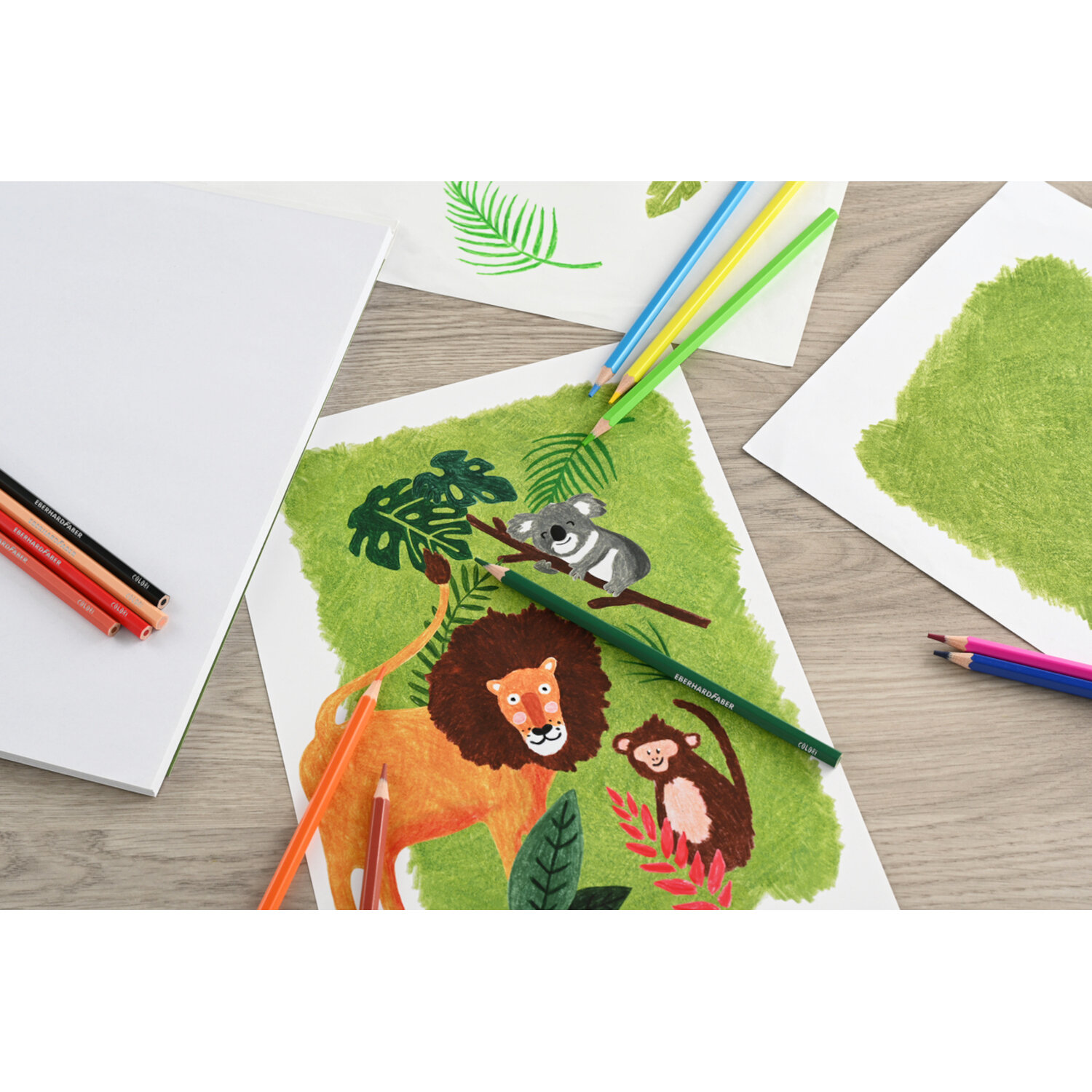 Buntstifte Colori 12 Stück von Eberhard Faber Vertrieb 