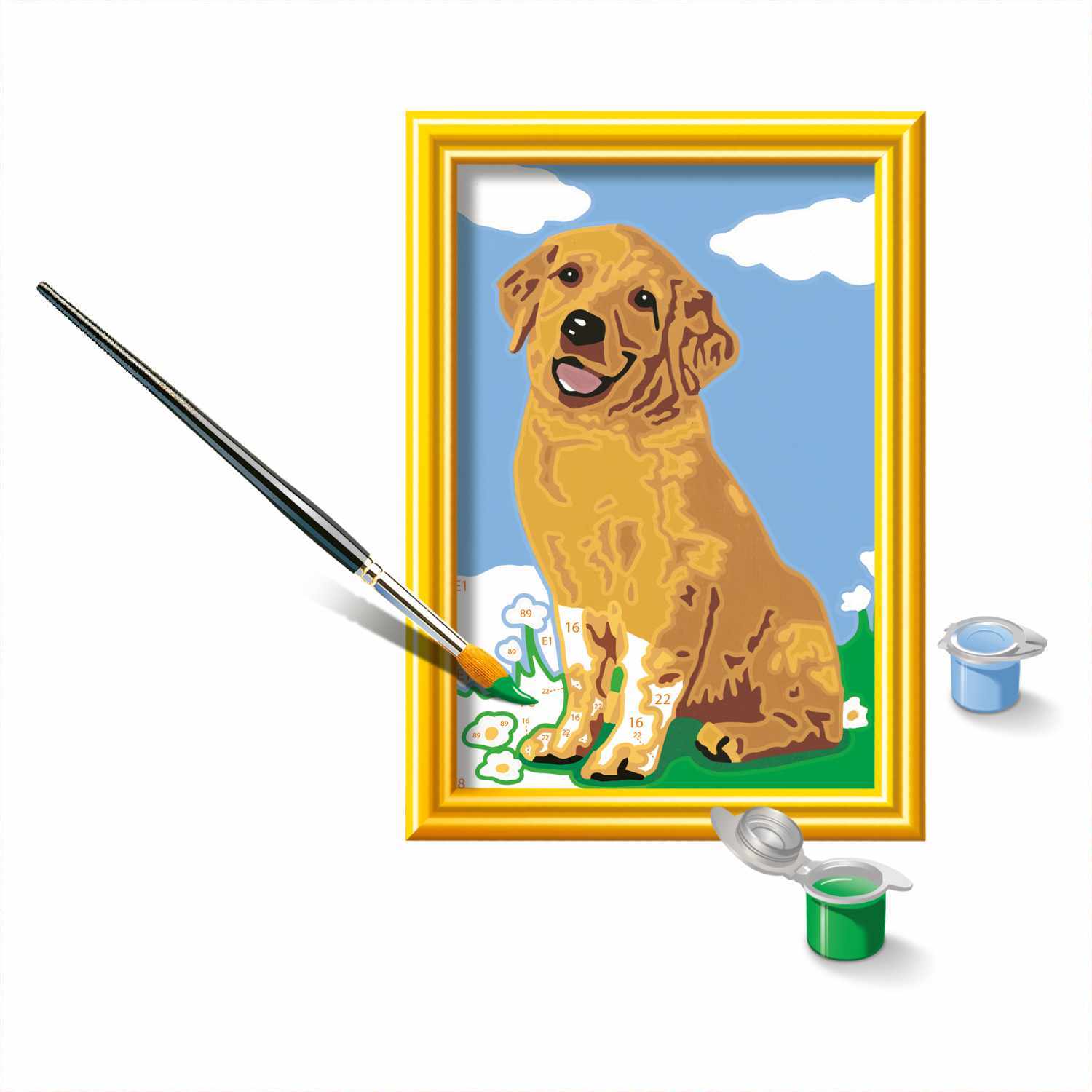 Malen nach Zahlen Kleiner Golden Retriever Malen nach Zahlen Kleiner Golden Retriever