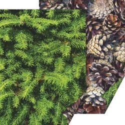 HEYDA Motivkarton Tannen und Zapfen 50x70cm 300g/m² HEYDA Motivkarton Tannen und Zapfen 50x70cm 300g/m²