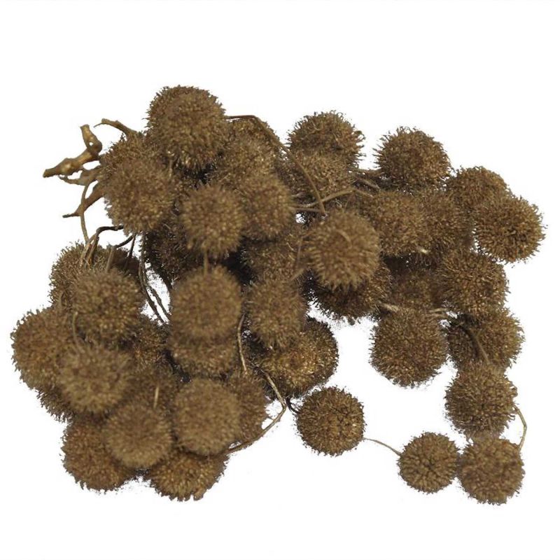 Platanenbälle gold 25g