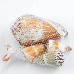 Muscheln Mix Cones 200g Muscheln Mix Cones 200g