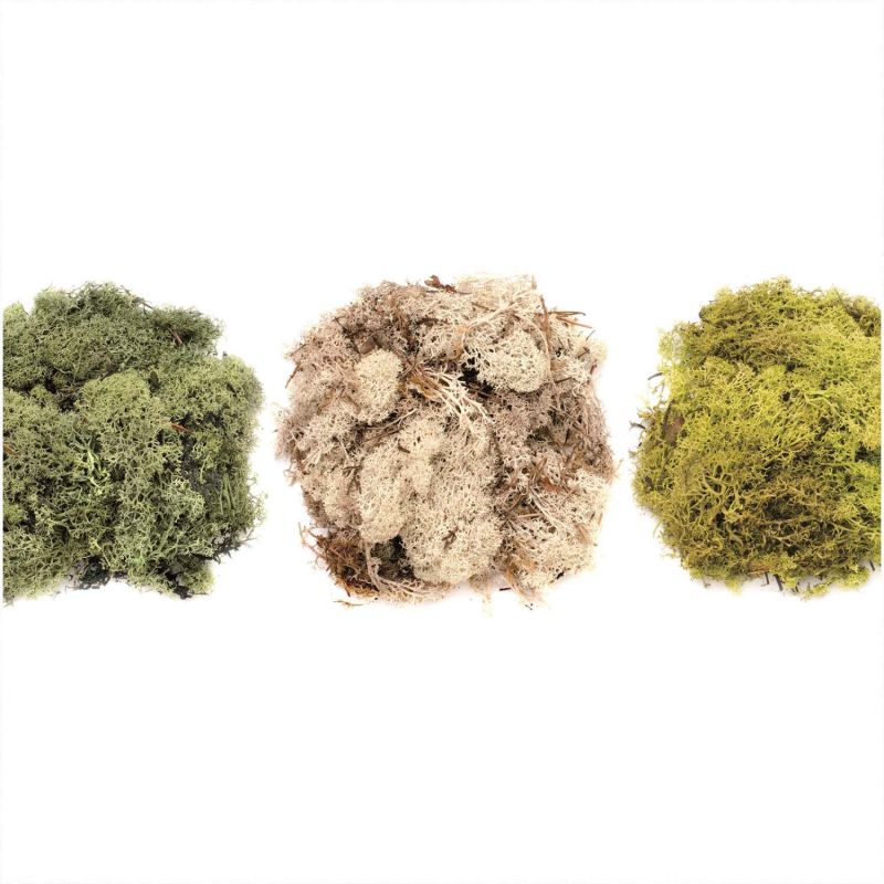 GLOREX Islandmoos 50g