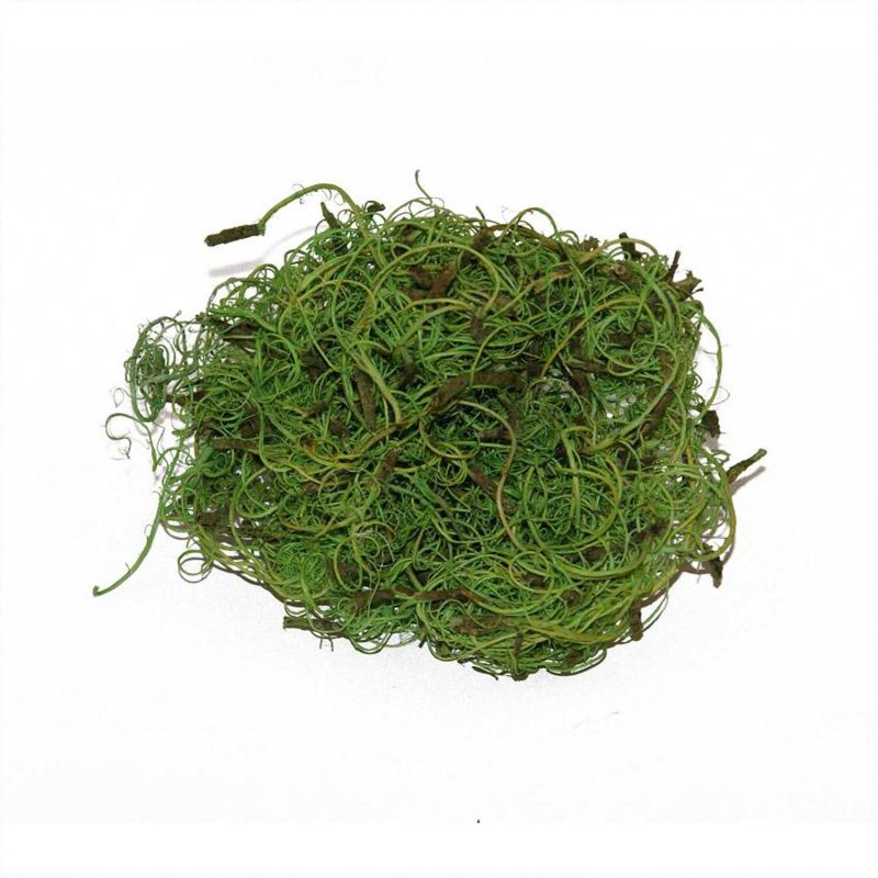 Curlymoos apfelgrün 40g