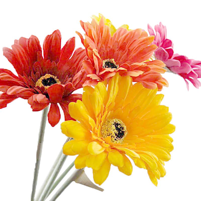 Gerbera 52cm